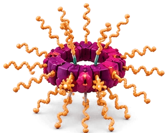 Scaffold ring displaying peptides