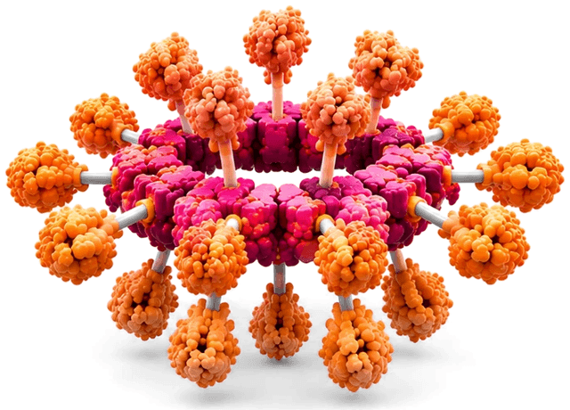 Scaffold ring displaying antigens